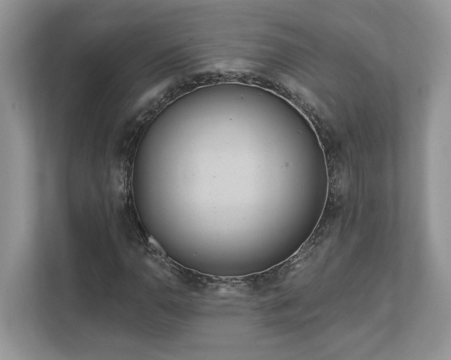 X0000111871110200907301110