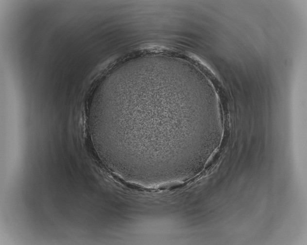 X0000111871111200907301110