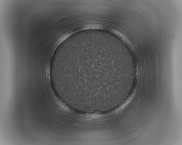 X0000111871113200907301110