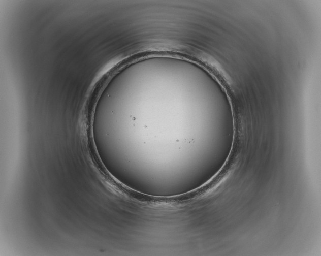 X0000111871114200907301110