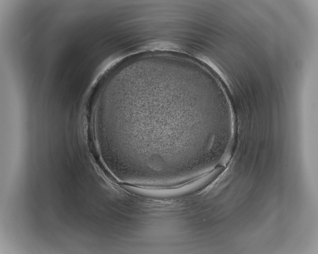 X0000111871115200907301110