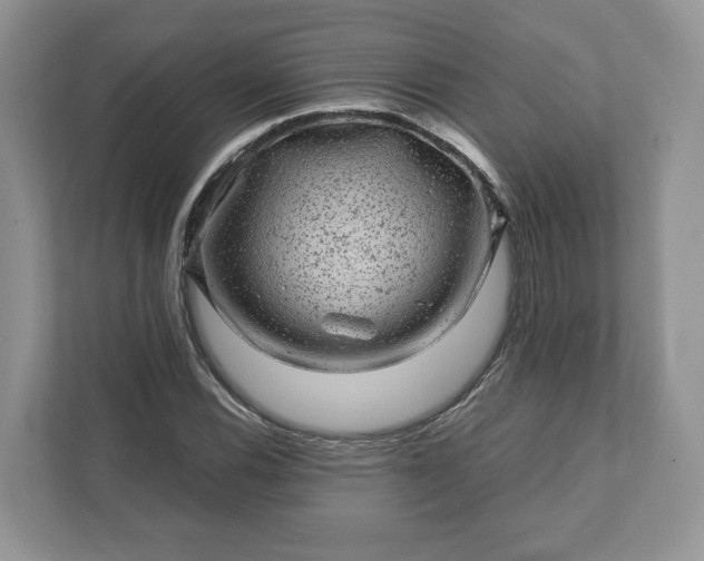 X0000111871116200907301110