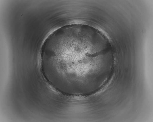 X0000111871117200907301110