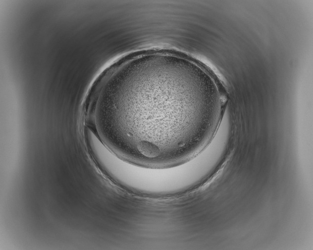 X0000111871118200907301110