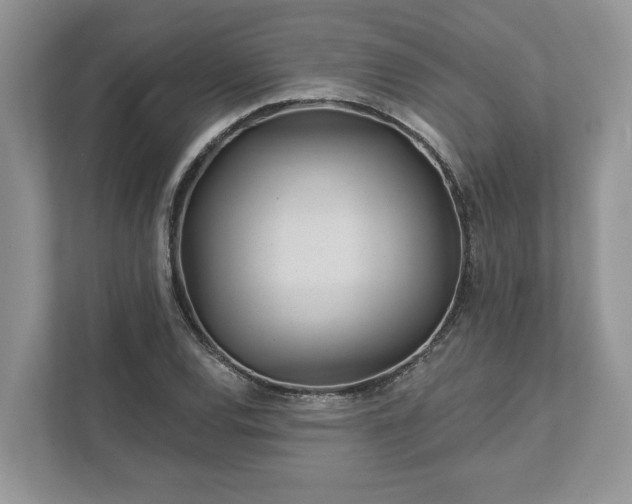 X0000111871120200907301110