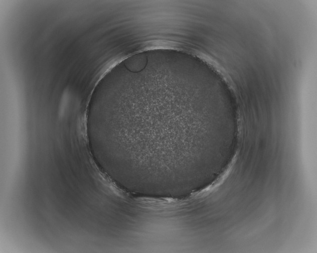 X0000111871121200907301110