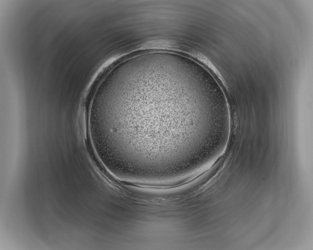 X0000111871123200907301111