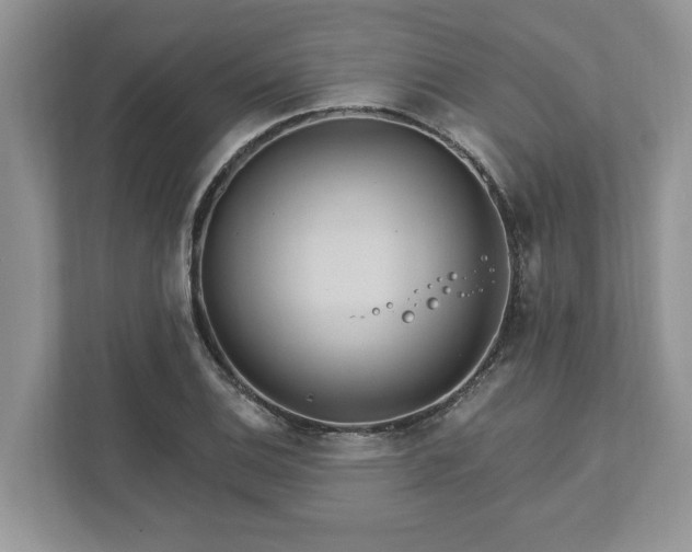 X0000111871124200907301111