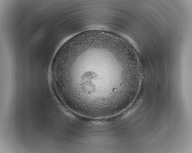 X0000111871125200907301111