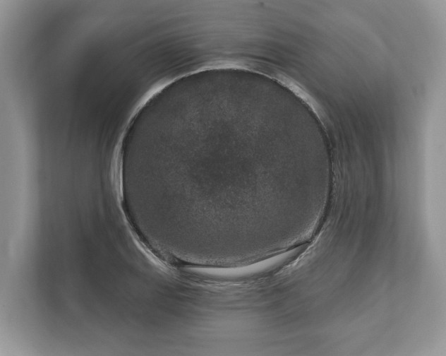 X0000111871127200907301111