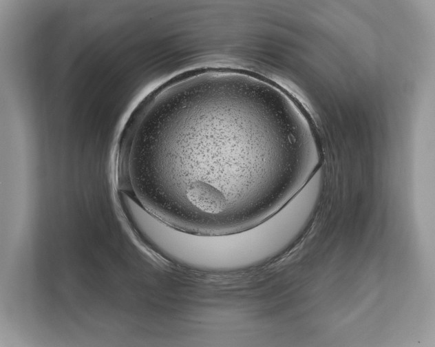 X0000111871128200907301111