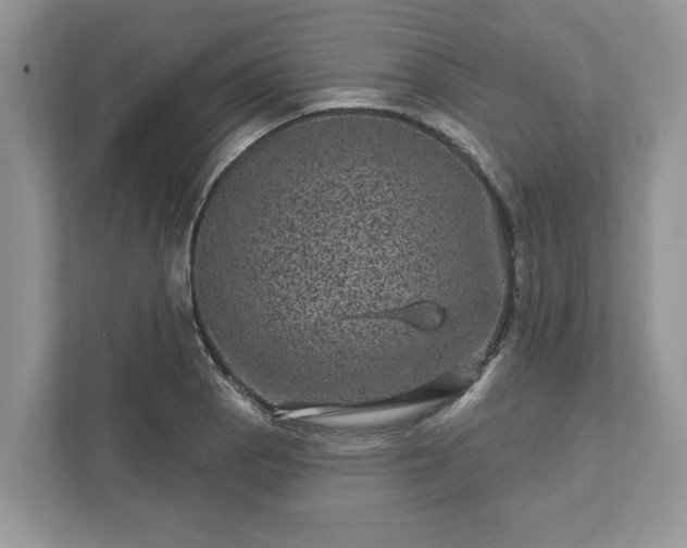 X0000111871129200907301111