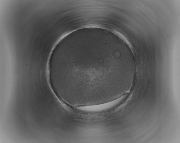 X0000111871133200907301111