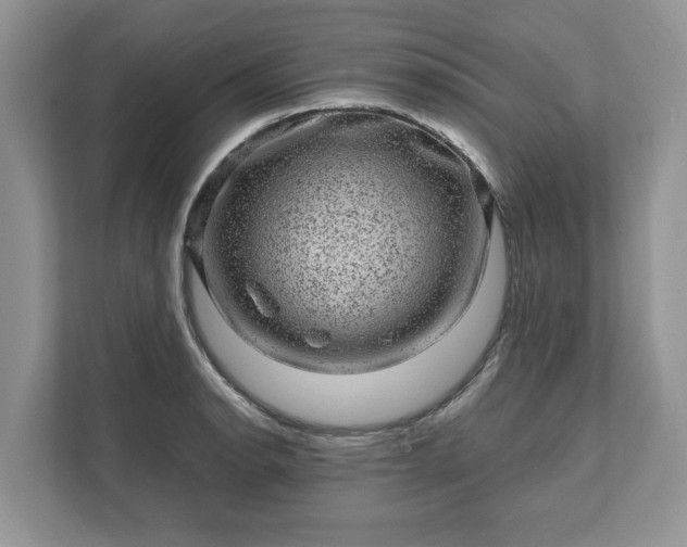 X0000111871134200907301111