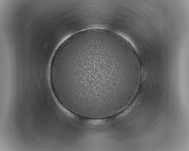 X0000111871135200907301111