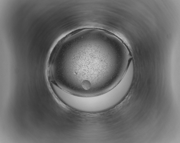 X0000111871136200907301111