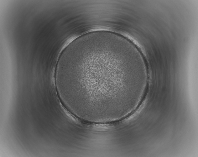 X0000111871137200907301111