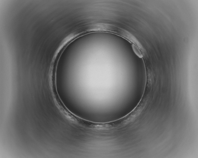 X0000111871138200907301111