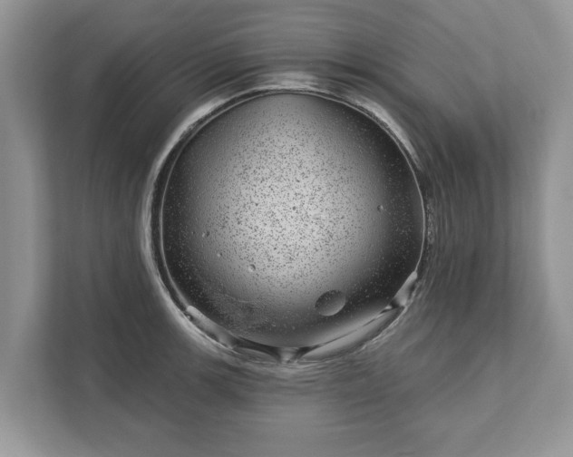 X0000111871139200907301111