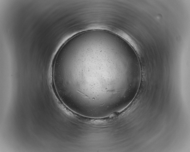 X0000111871140200907301111