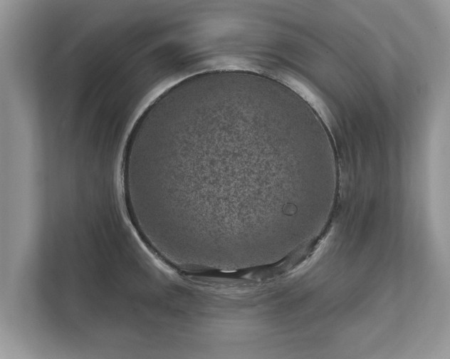 X0000111871141200907301111