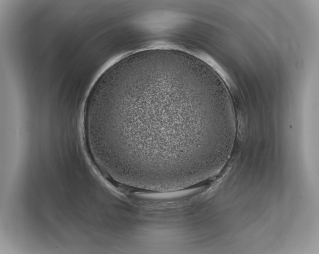 X0000111871142200907301111