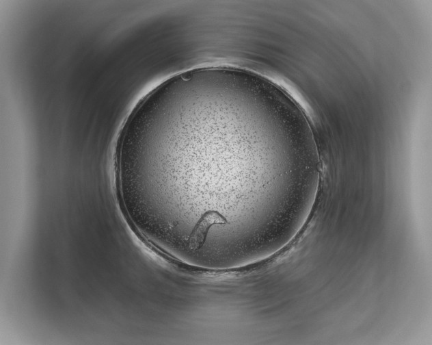 X0000111871143200907301111