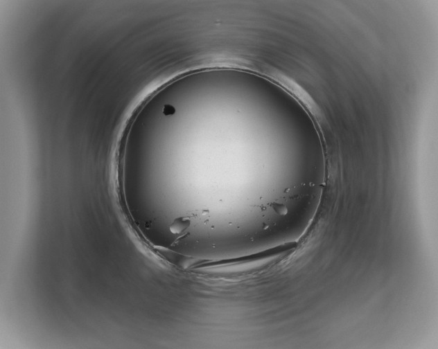 X0000111871144200907301111