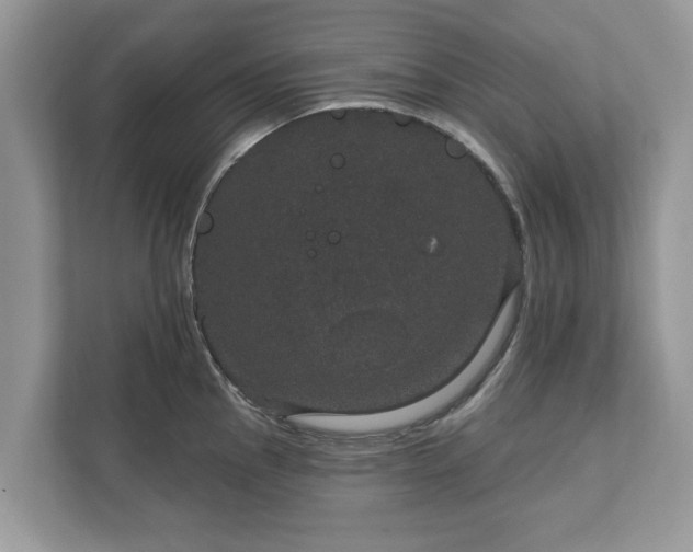 X0000111871145200907301111