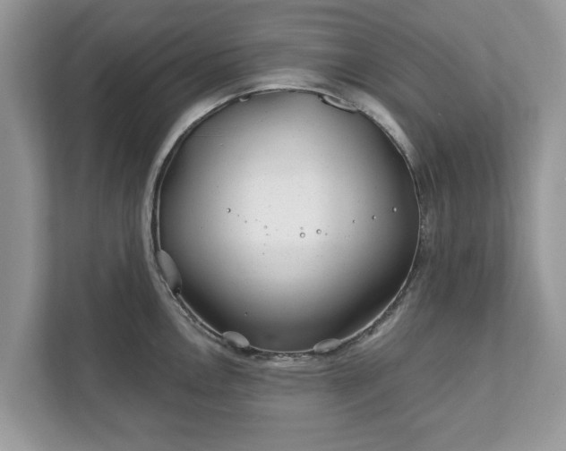 X0000111871146200907301111