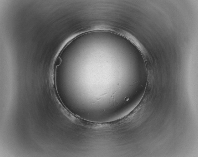 X0000111871148200907301111