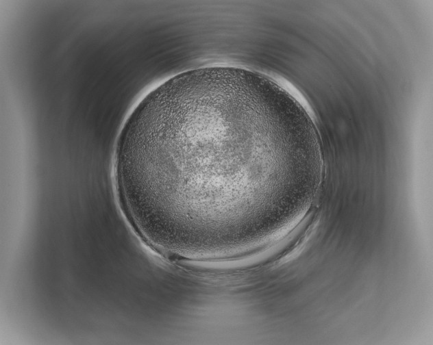 X0000111871149200907301111