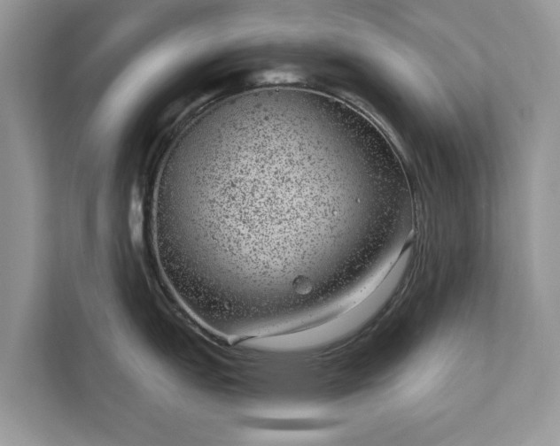 X0000111871151200907301111