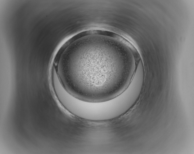 X0000111871152200907301111