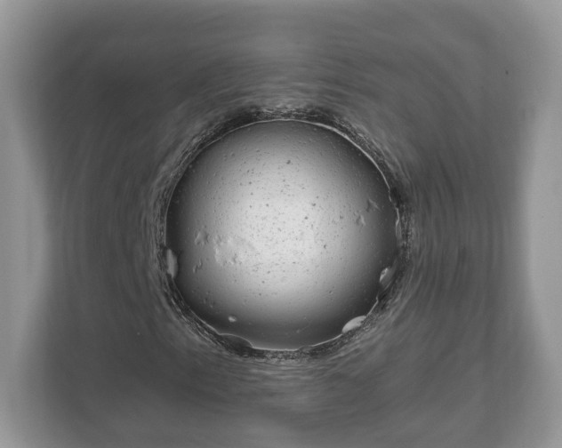 X0000111871153200907301110