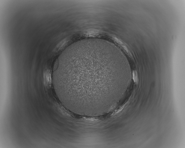 X0000111871155200907301110