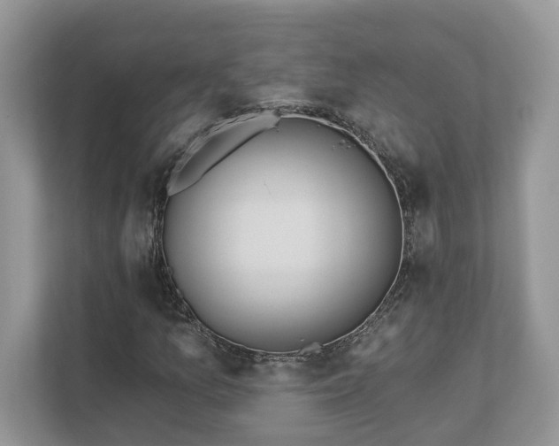 X0000111871157200907301110