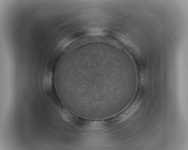 X0000111871161200907301110