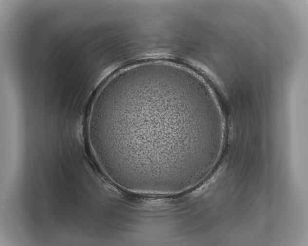 X0000111871162200907301110