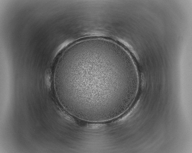 X0000111871163200907301110