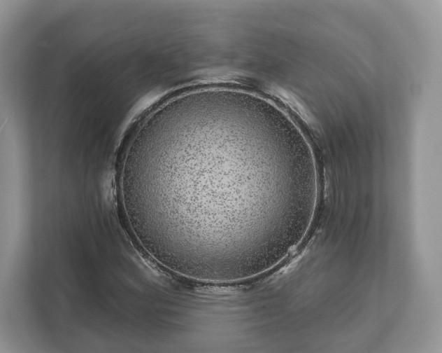 X0000111871164200907301110