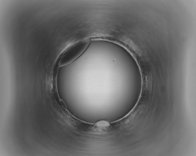 X0000111871165200907301110