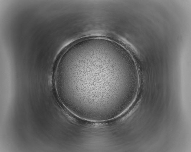 X0000111871166200907301110