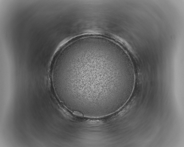 X0000111871168200907301110