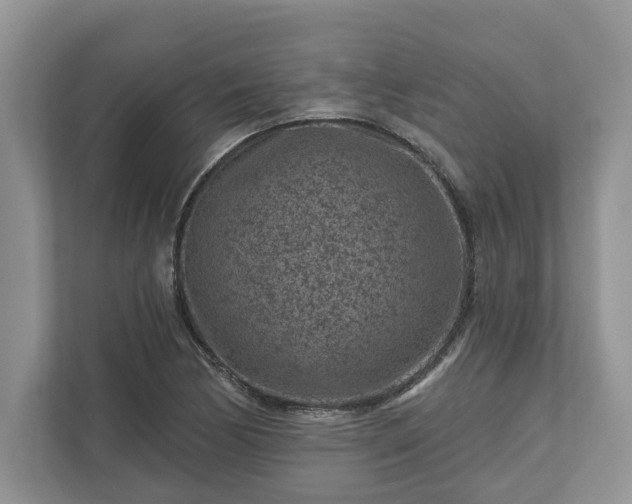 X0000111871170200907301110