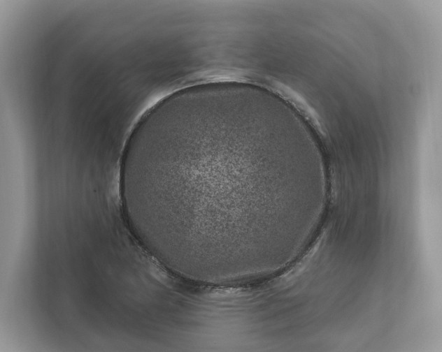 X0000111871174200907301110