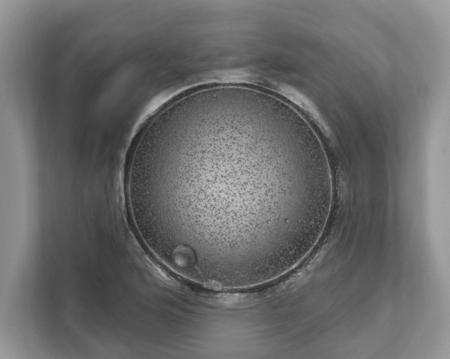 X0000111871176200907301110