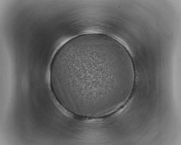 X0000111871179200907301110