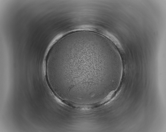 X0000111871180200907301110