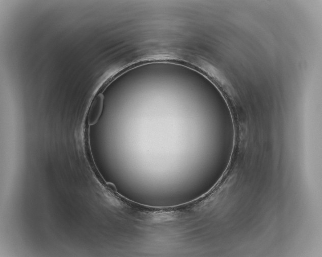 X0000111871181200907301110